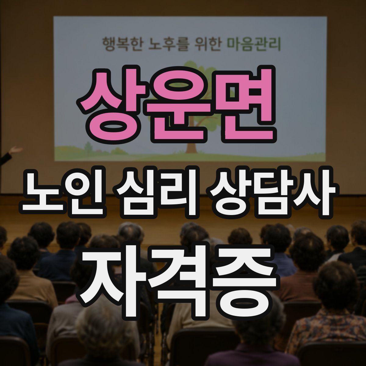 상운면 노인 심리 상담사 자격증
