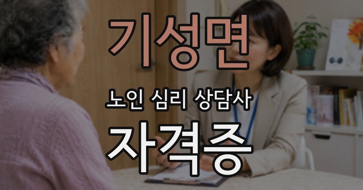 기성면 노인 심리 상담사 자격증