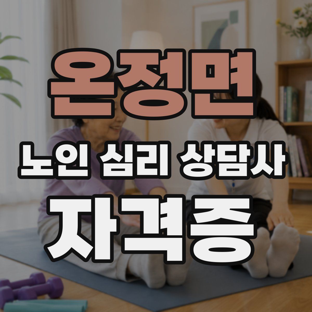 온정면 노인 심리 상담사 자격증