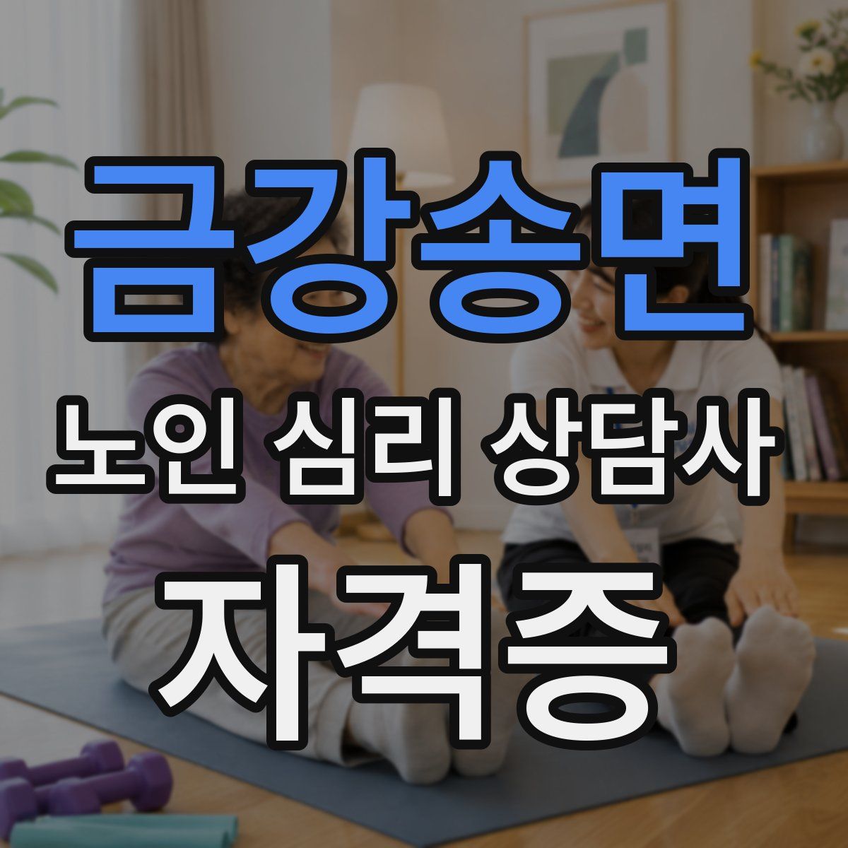금강송면 노인 심리 상담사 자격증