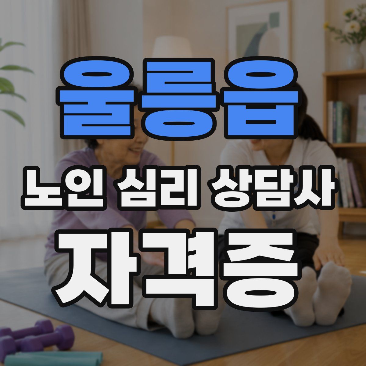 울릉읍 노인 심리 상담사 자격증