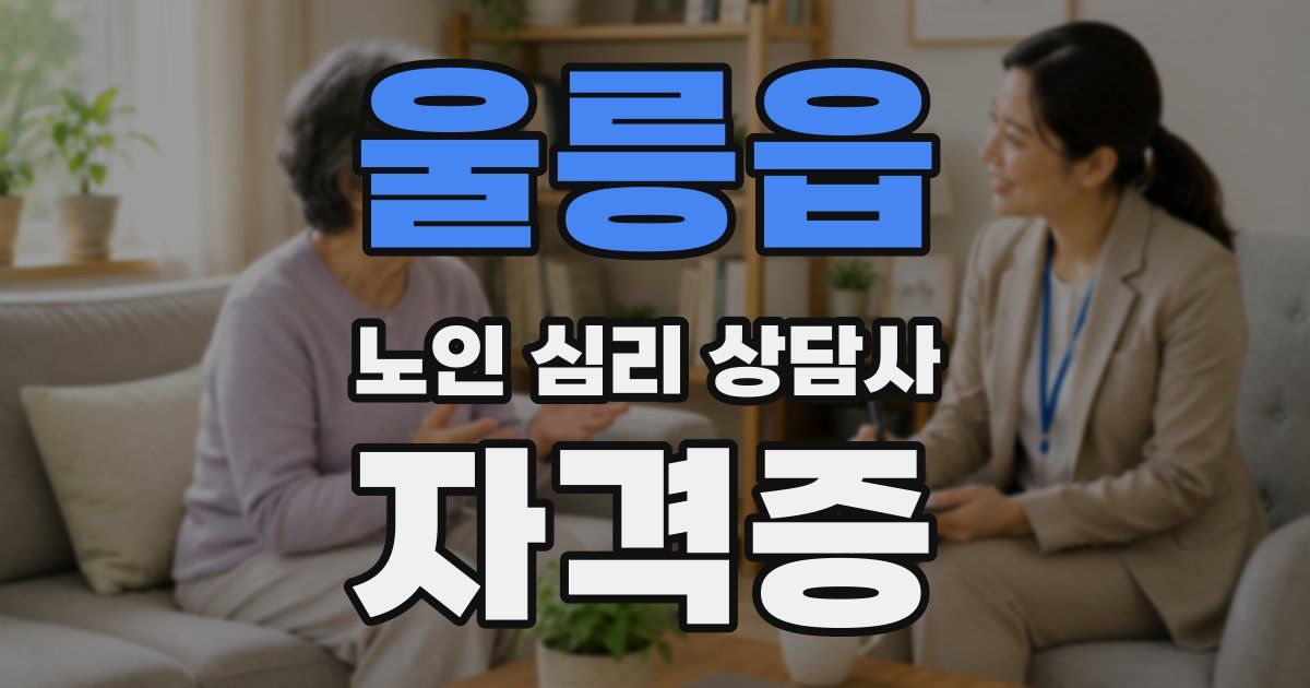 울릉읍 노인 심리 상담사 자격증