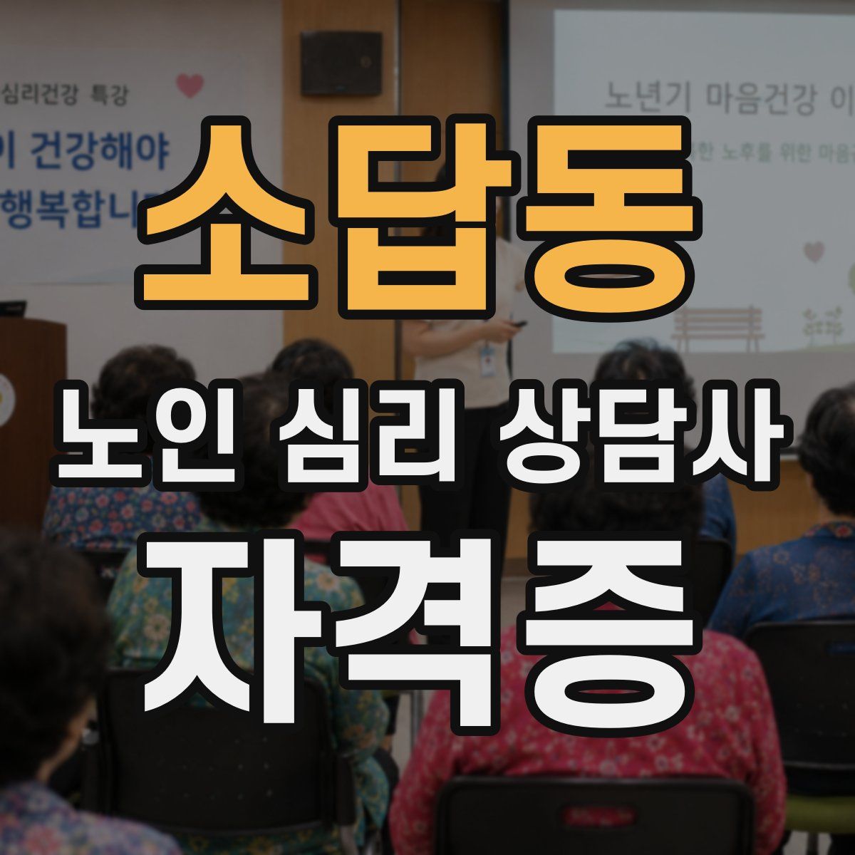 소답동 노인 심리 상담사 자격증