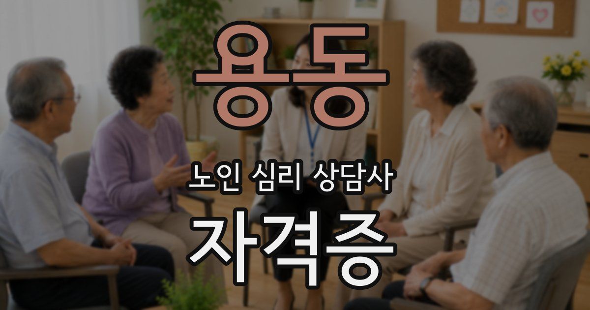 용동 노인 심리 상담사 자격증
