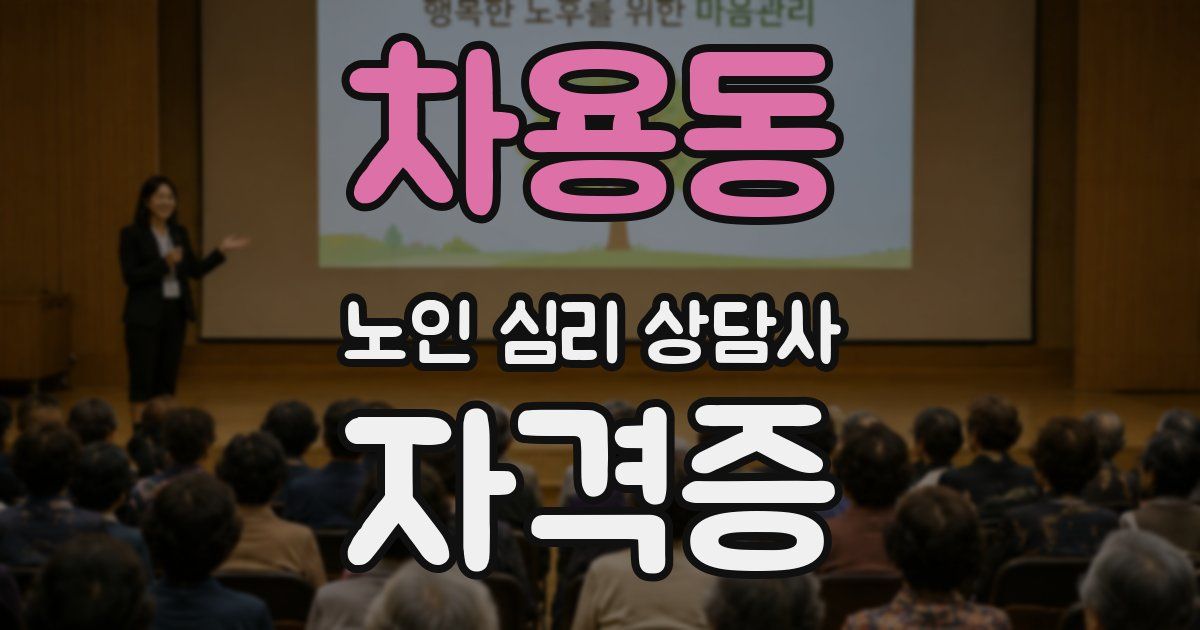 차용동 노인 심리 상담사 자격증