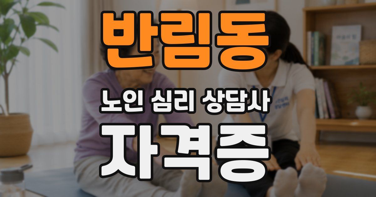 반림동 노인 심리 상담사 자격증
