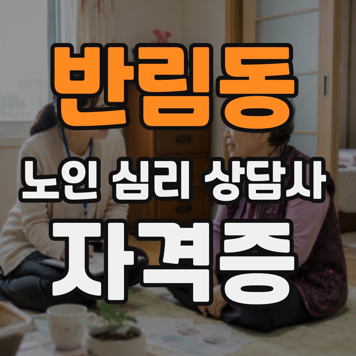반림동 노인 심리 상담사 자격증