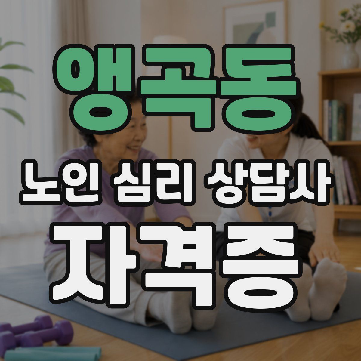 앵곡동 노인 심리 상담사 자격증