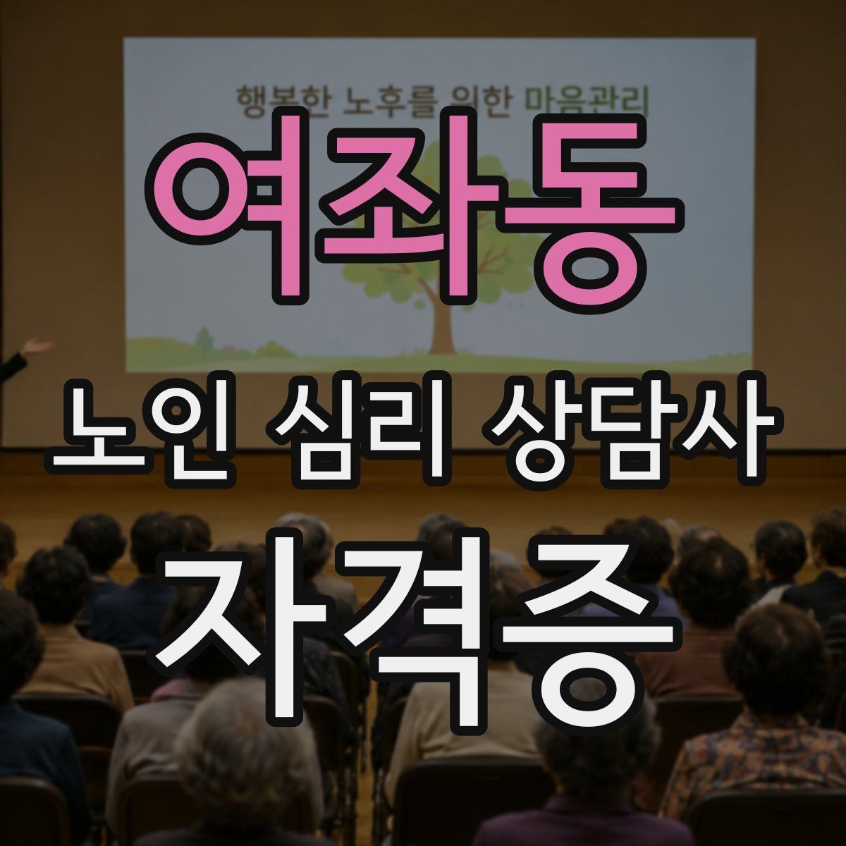 여좌동 노인 심리 상담사 자격증
