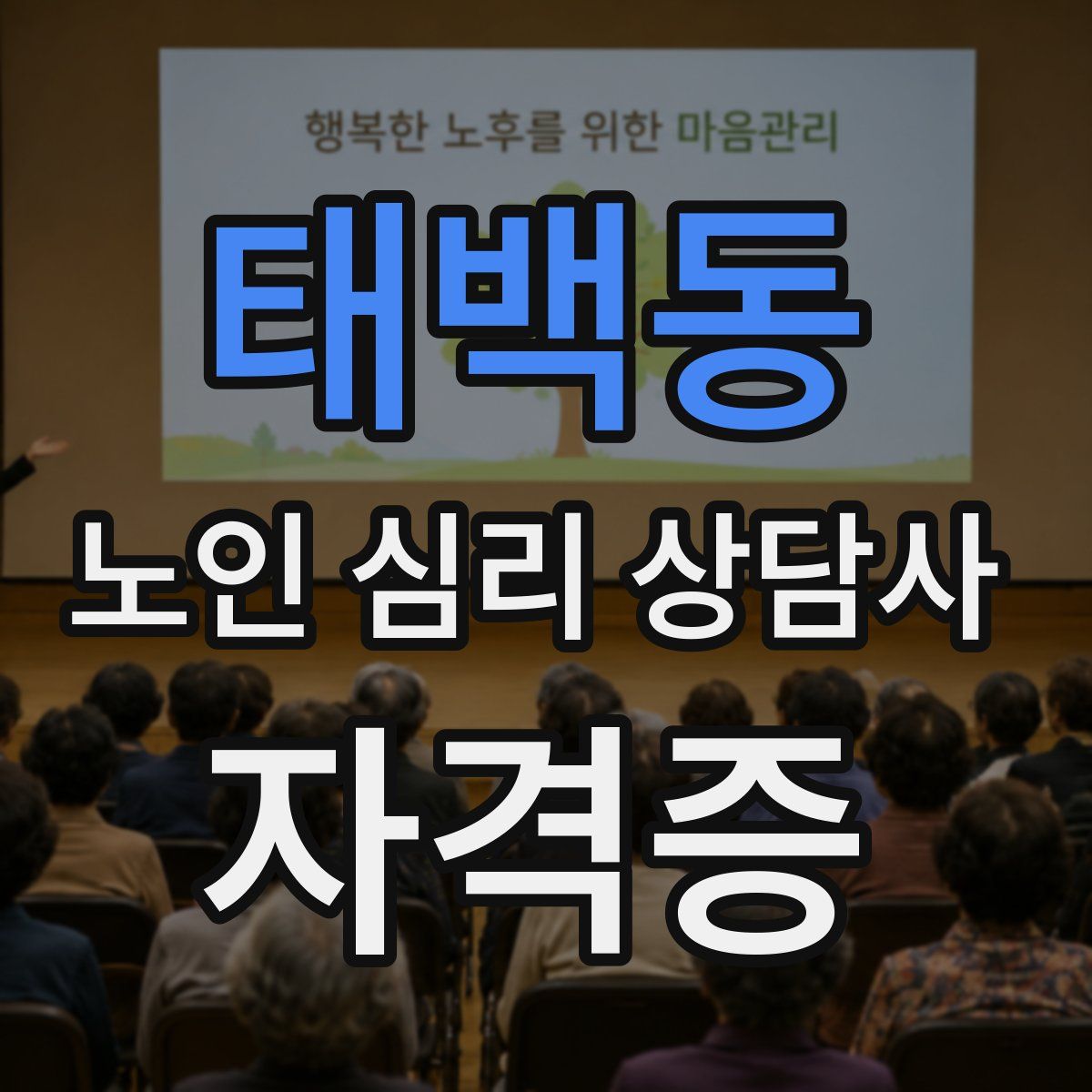태백동 노인 심리 상담사 자격증