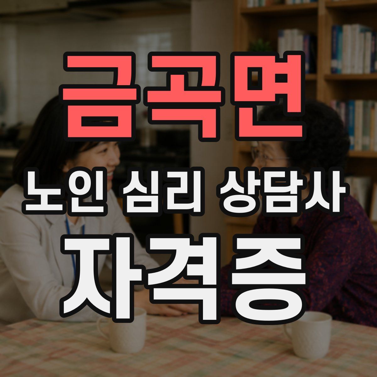 금곡면 노인 심리 상담사 자격증