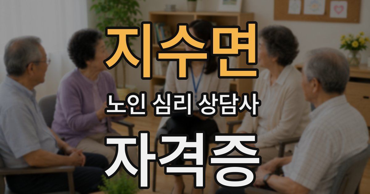 지수면 노인 심리 상담사 자격증