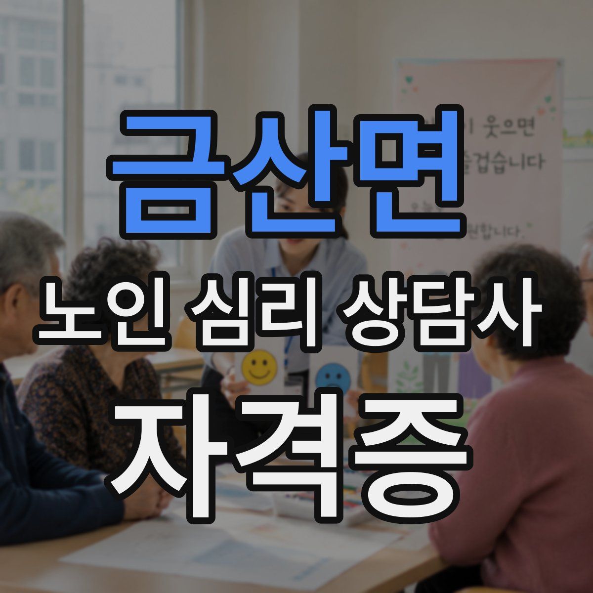 금산면 노인 심리 상담사 자격증