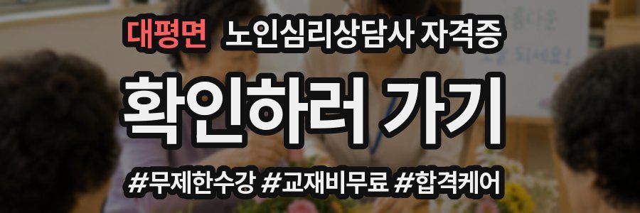 대평면 노인 심리 상담사 자격증