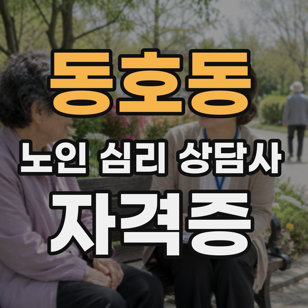 동호동 노인 심리 상담사 자격증