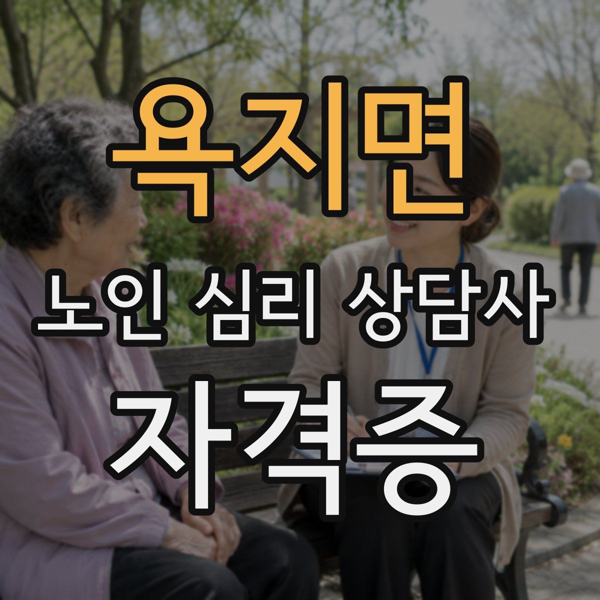 욕지면 노인 심리 상담사 자격증