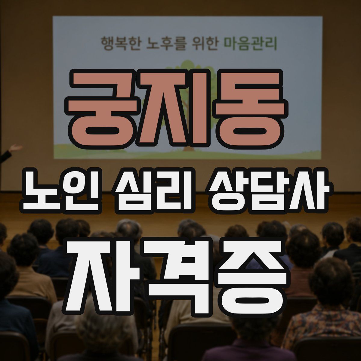 궁지동 노인 심리 상담사 자격증