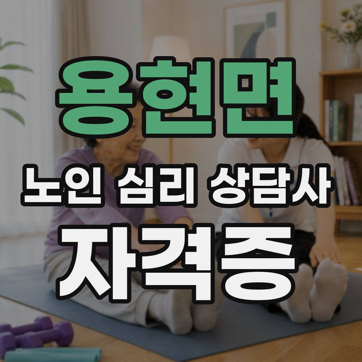 용현면 노인 심리 상담사 자격증