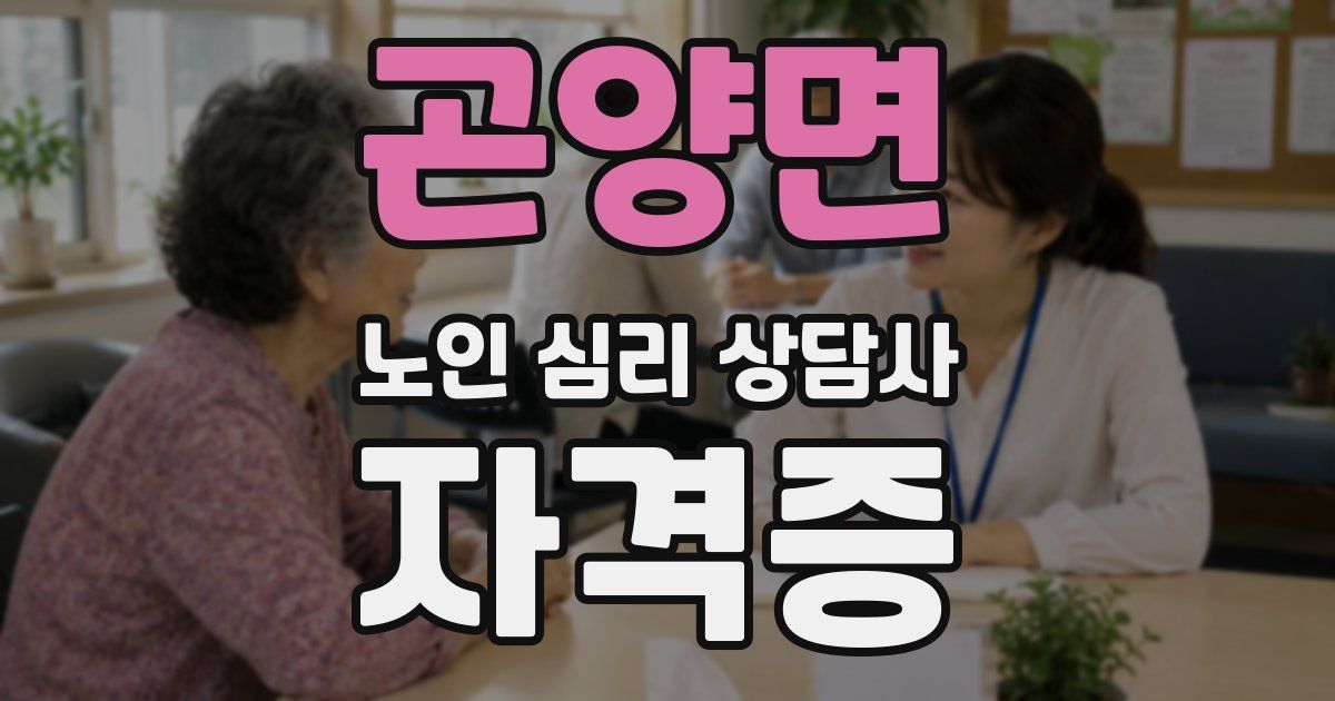 곤양면 노인 심리 상담사 자격증