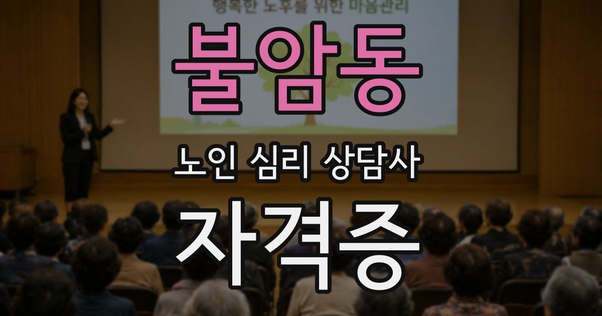 불암동 노인 심리 상담사 자격증