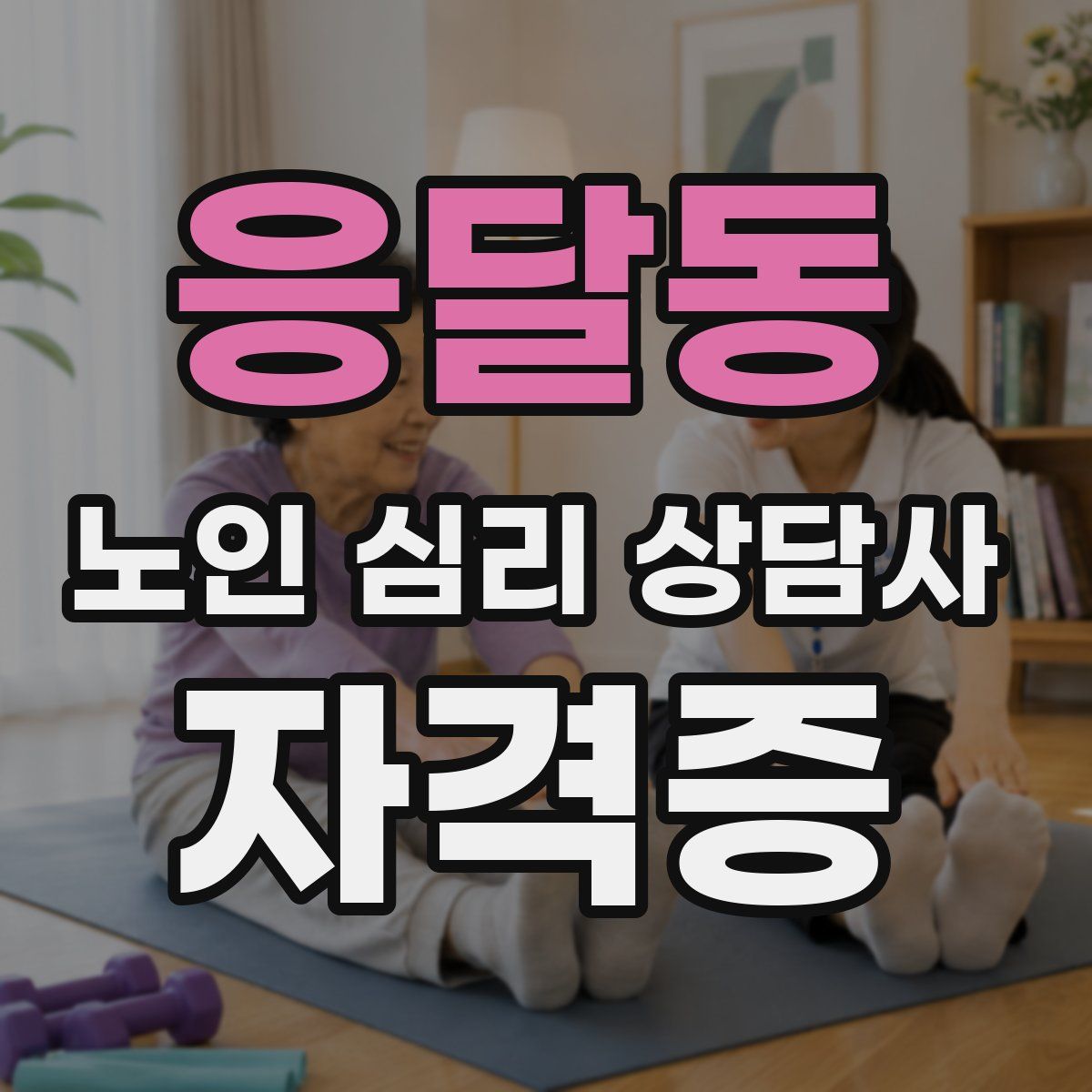 응달동 노인 심리 상담사 자격증