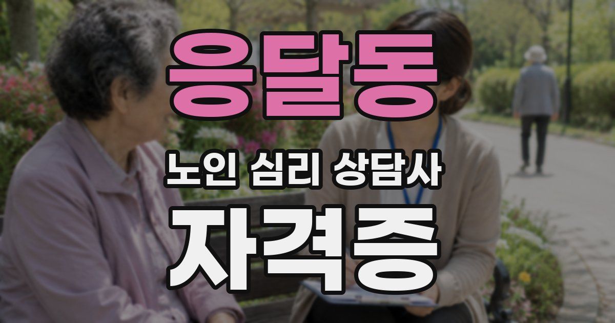 응달동 노인 심리 상담사 자격증