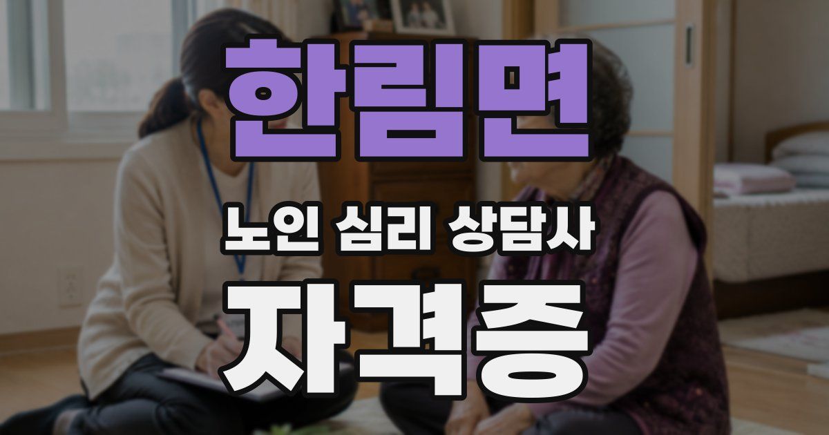 한림면 노인 심리 상담사 자격증