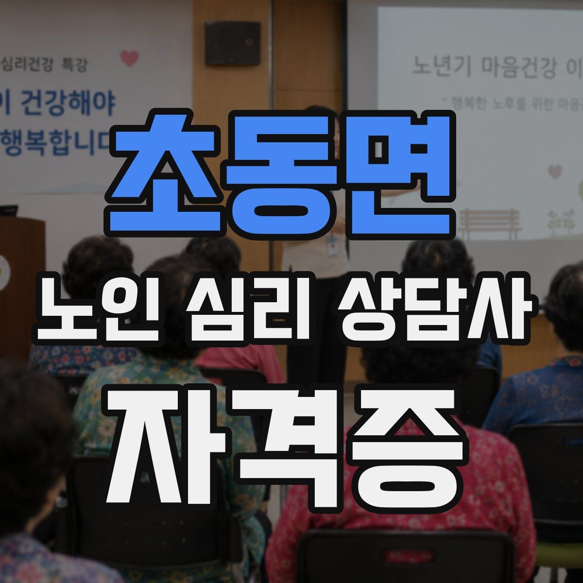 초동면 노인 심리 상담사 자격증