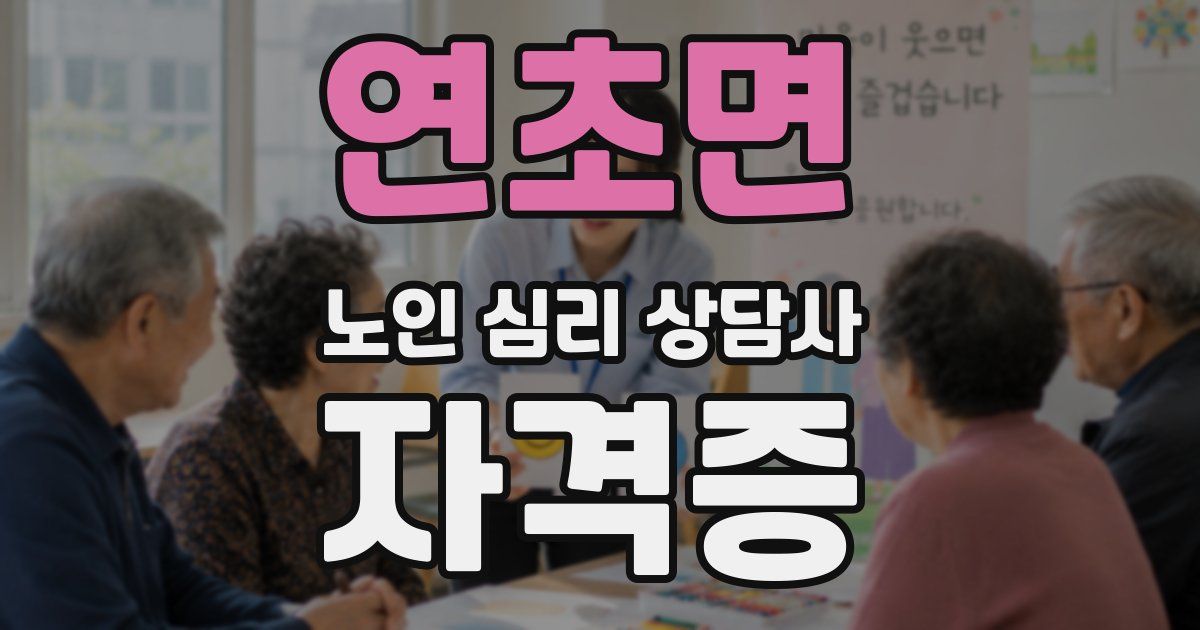 연초면 노인 심리 상담사 자격증