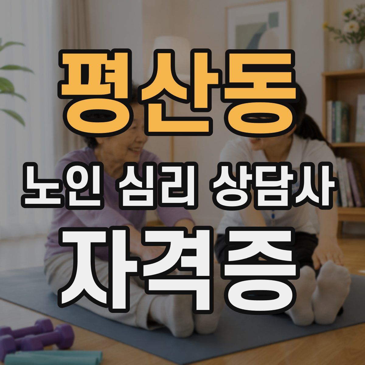평산동 노인 심리 상담사 자격증