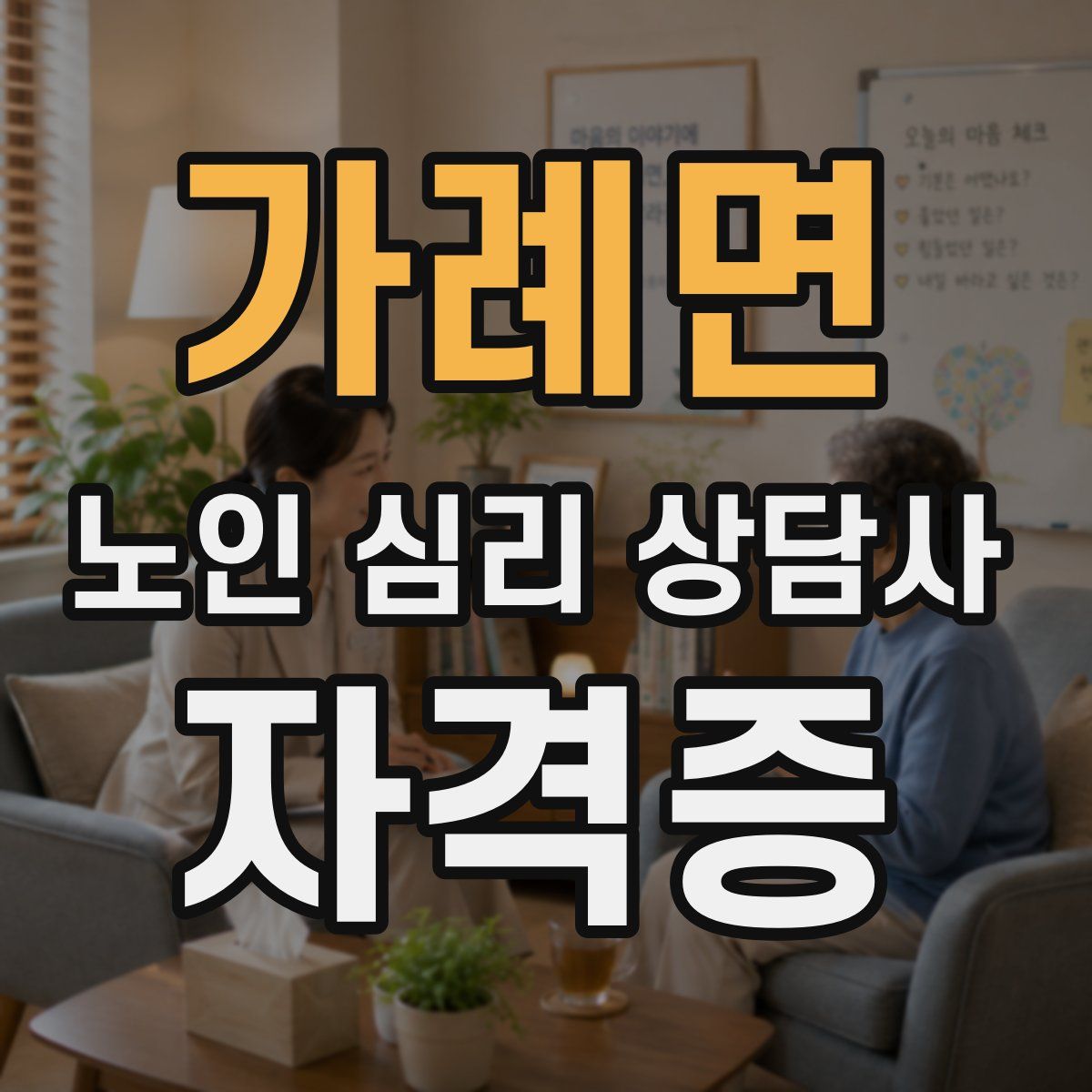 가례면 노인 심리 상담사 자격증