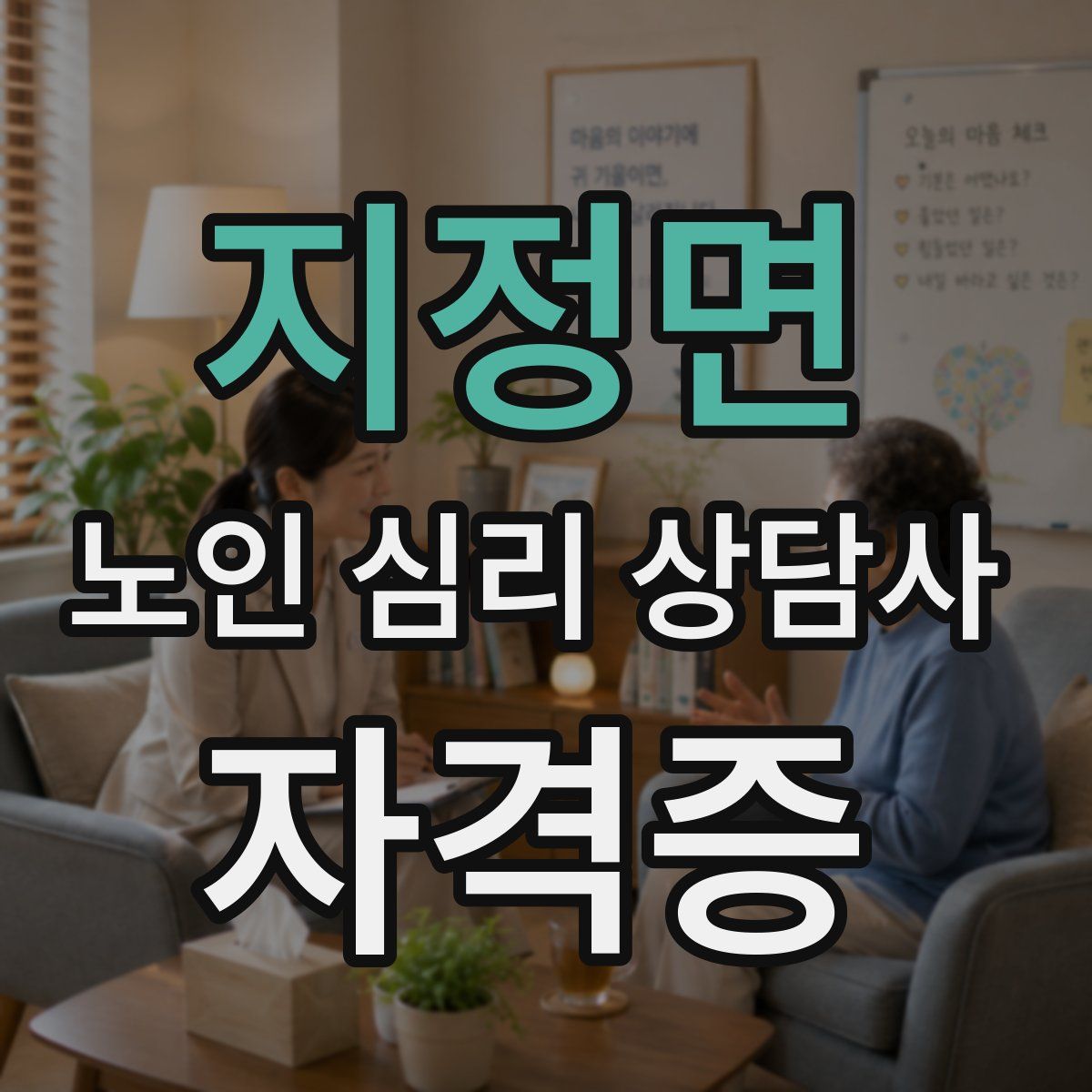 지정면 노인 심리 상담사 자격증