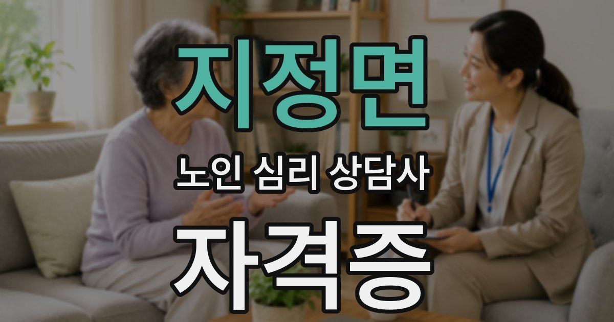 지정면 노인 심리 상담사 자격증