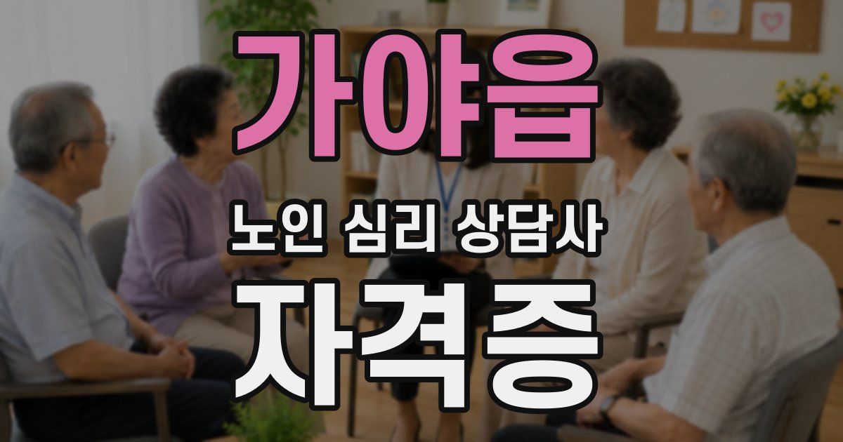 가야읍 노인 심리 상담사 자격증