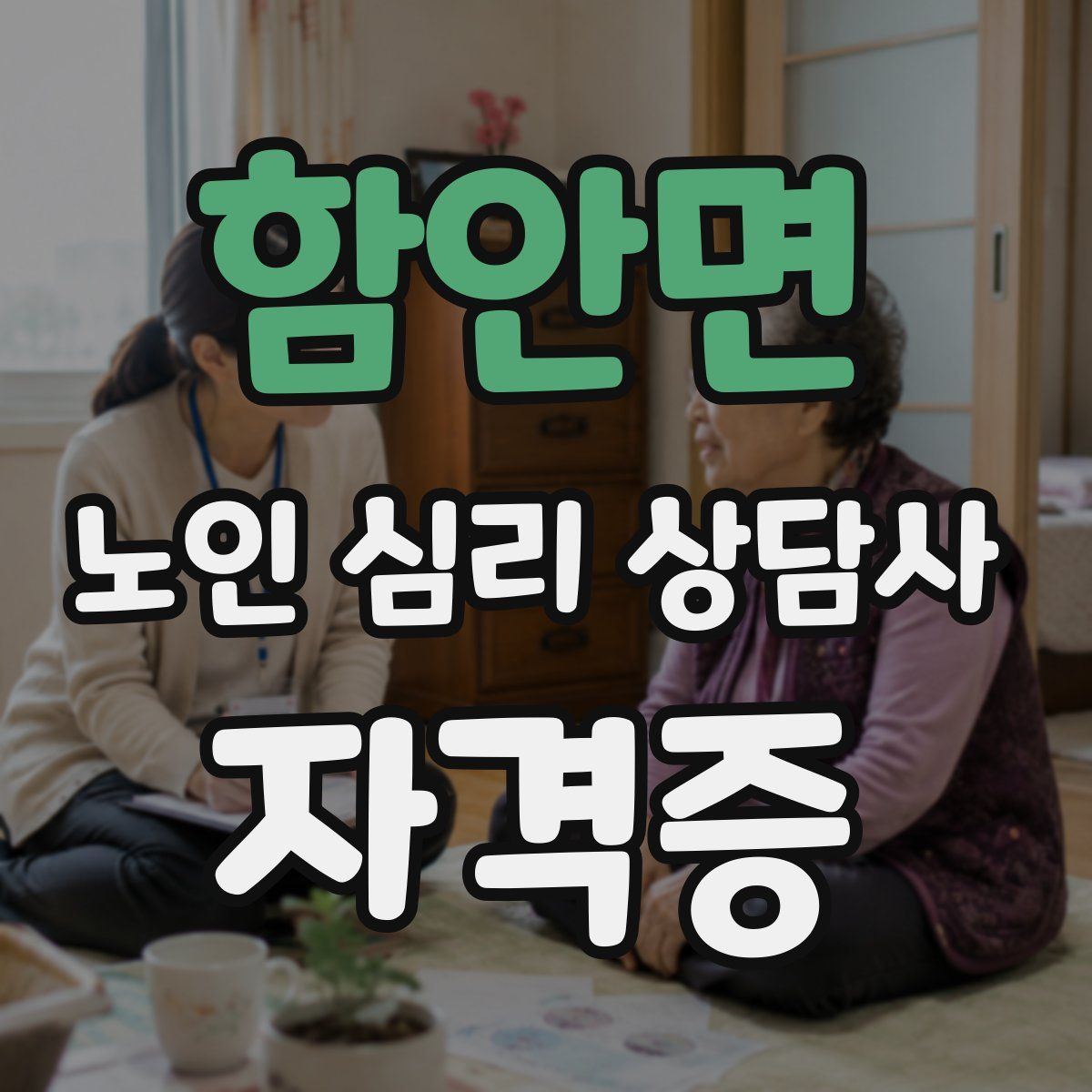 함안면 노인 심리 상담사 자격증