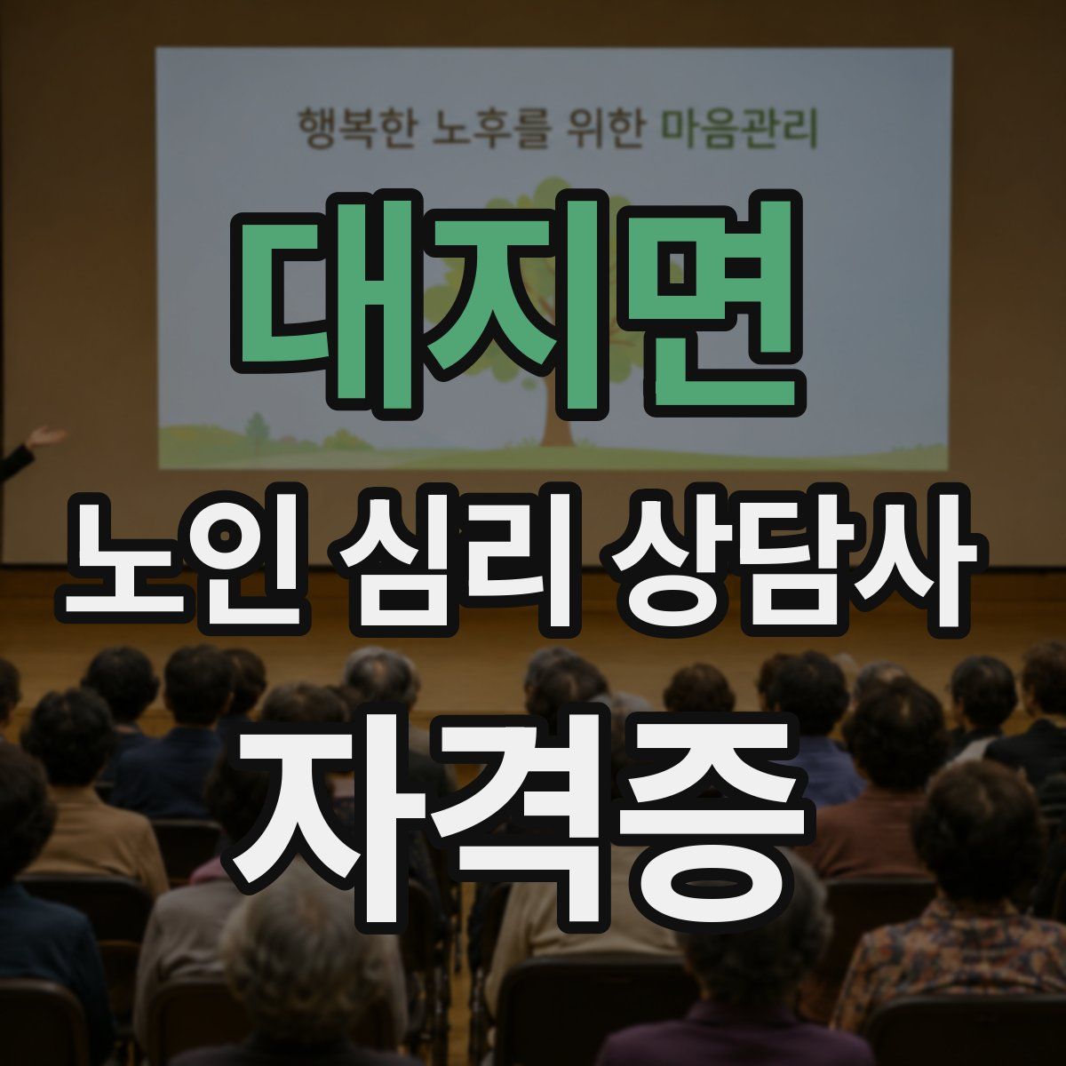 대지면 노인 심리 상담사 자격증