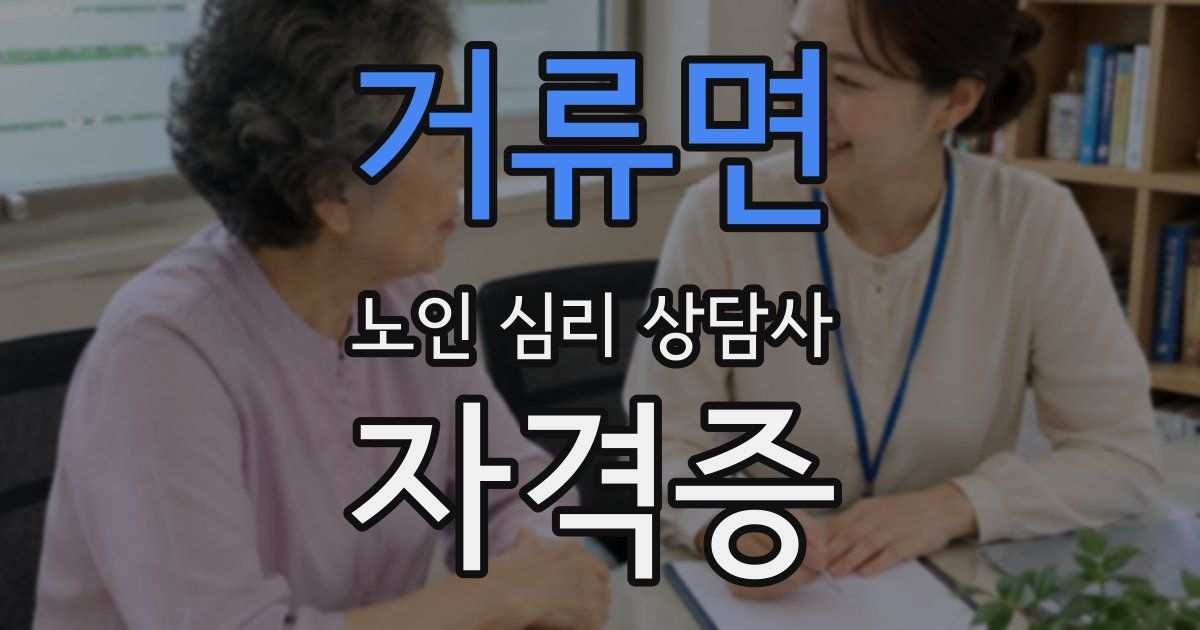 거류면 노인 심리 상담사 자격증