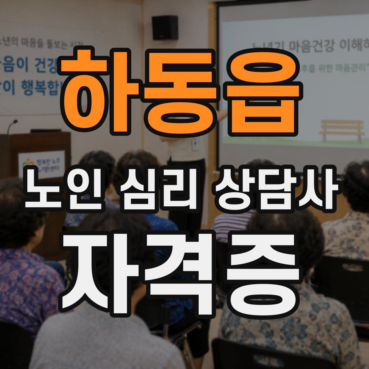 하동읍 노인 심리 상담사 자격증