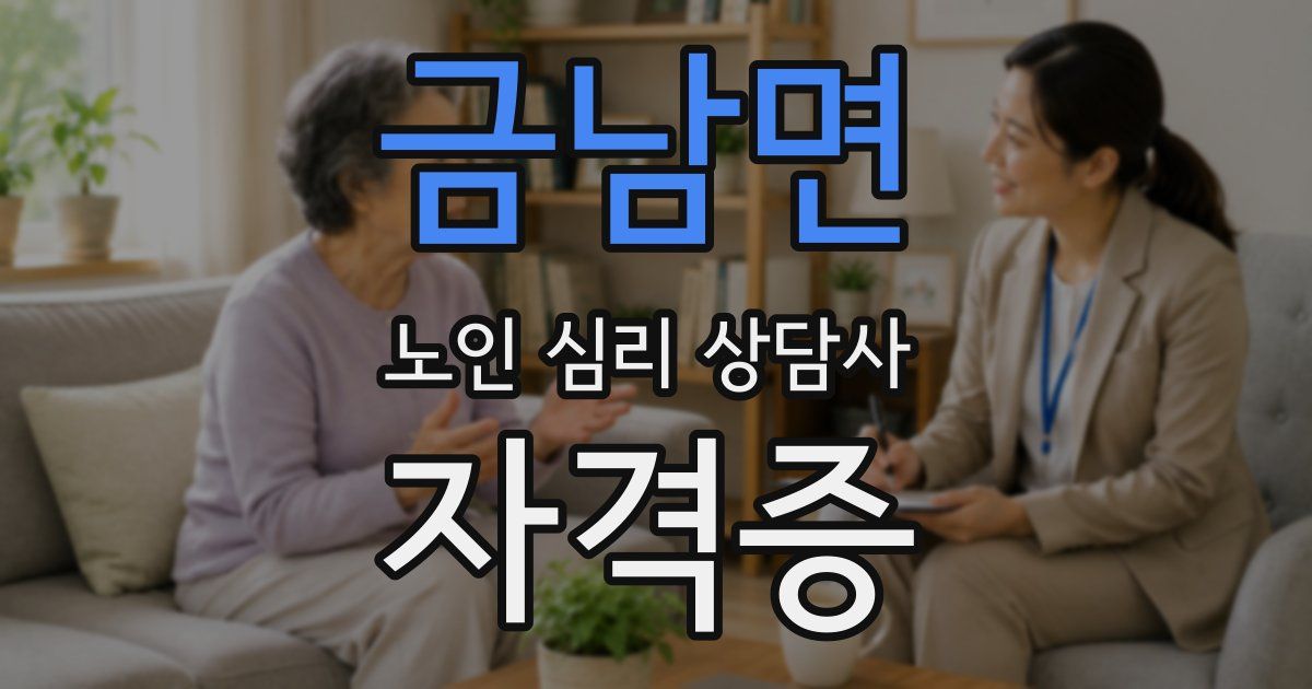 금남면 노인 심리 상담사 자격증
