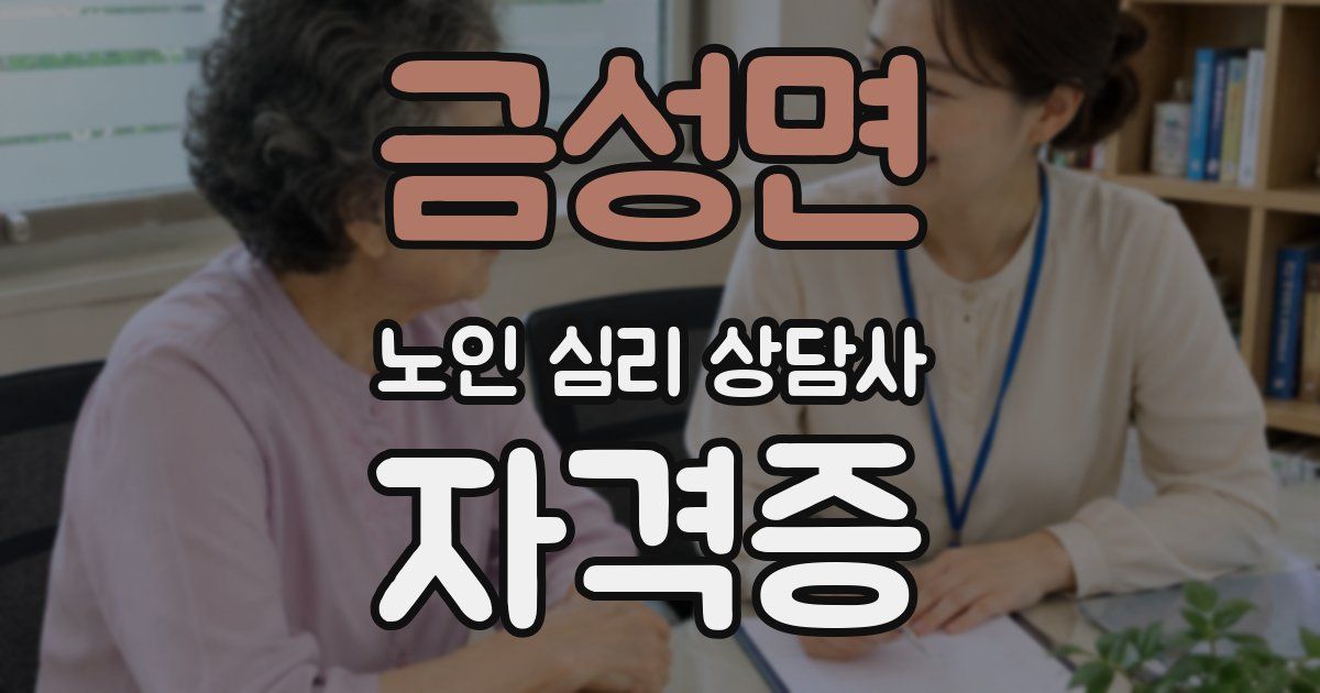 금성면 노인 심리 상담사 자격증
