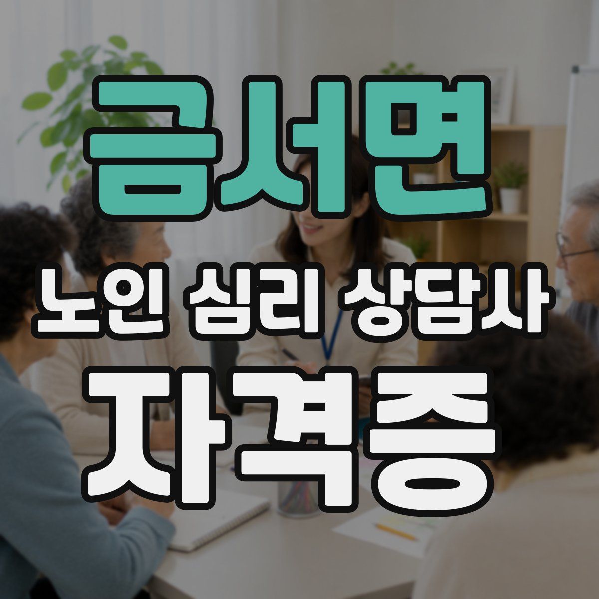 금서면 노인 심리 상담사 자격증