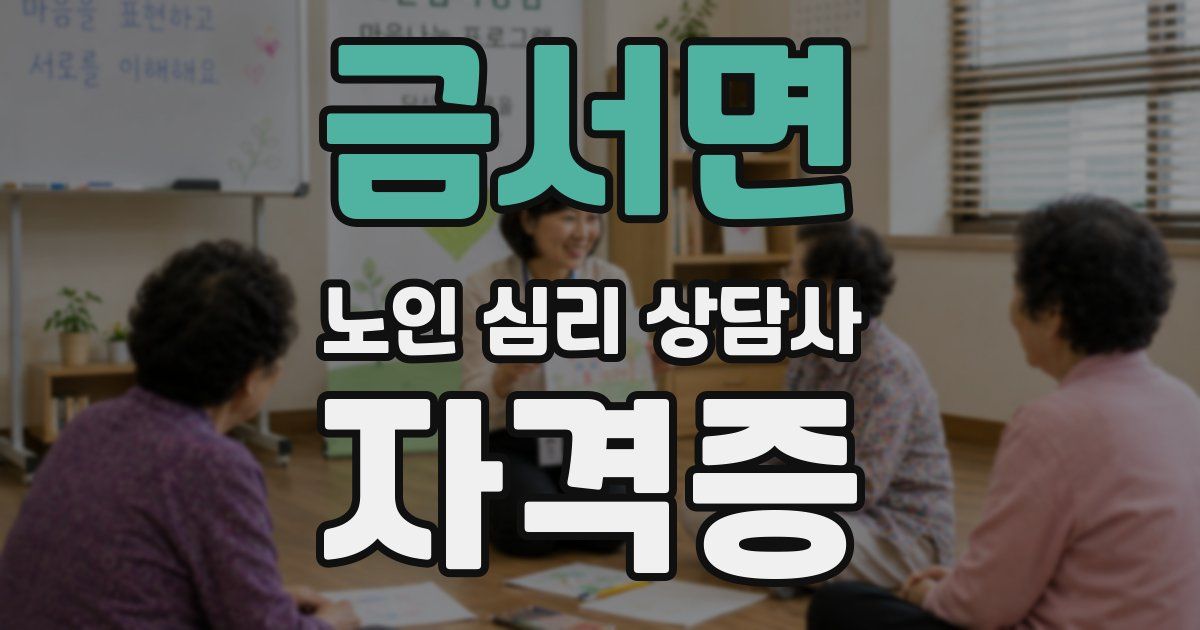 금서면 노인 심리 상담사 자격증