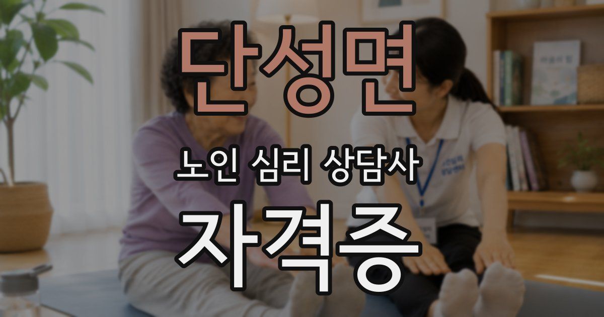 단성면 노인 심리 상담사 자격증