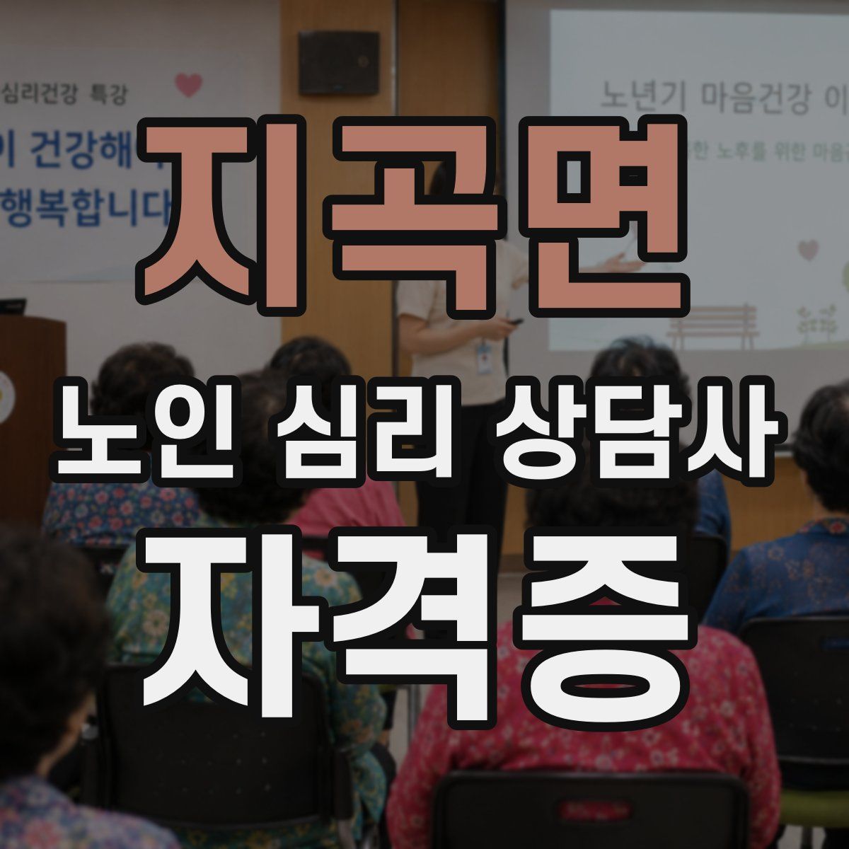 지곡면 노인 심리 상담사 자격증