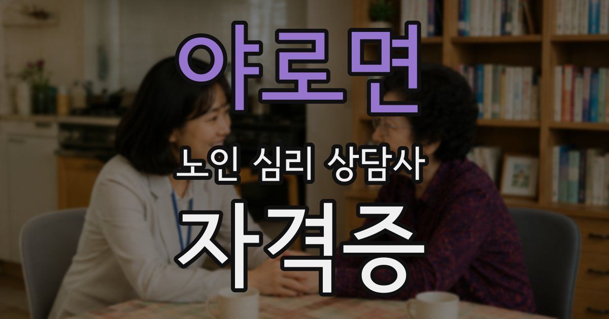 야로면 노인 심리 상담사 자격증