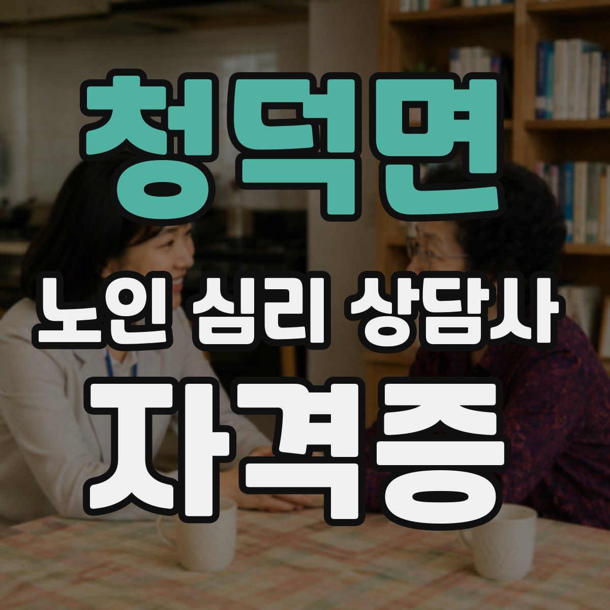 청덕면 노인 심리 상담사 자격증
