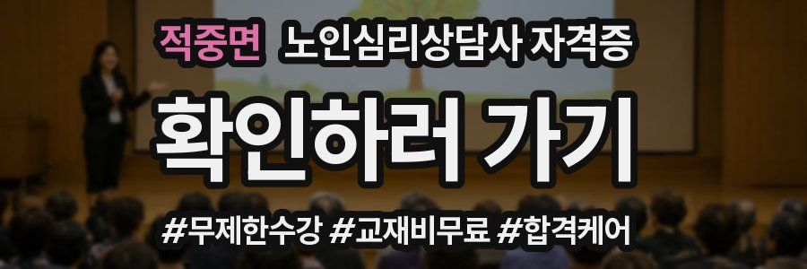 적중면 노인 심리 상담사 자격증