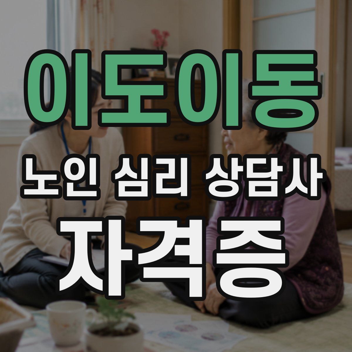이도이동 노인 심리 상담사 자격증