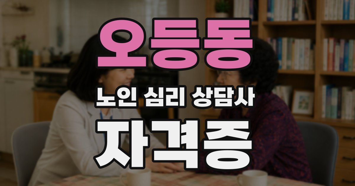 오등동 노인 심리 상담사 자격증