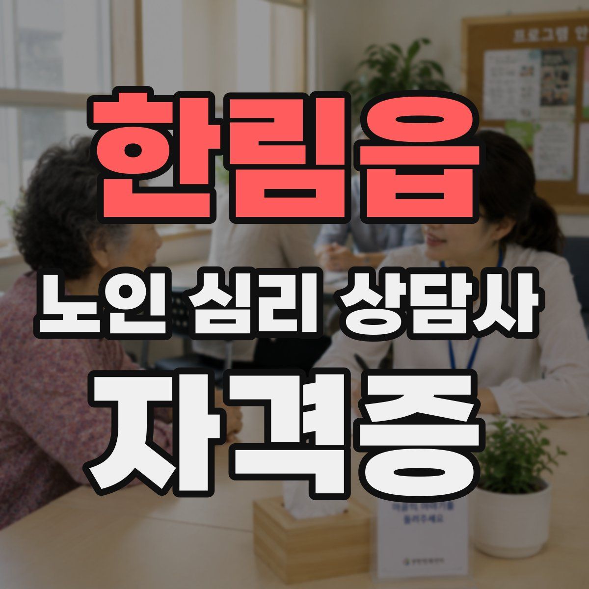 한림읍 노인 심리 상담사 자격증